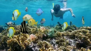 Snorkeling